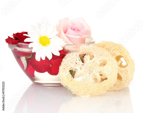 Obraz na płótnie Loofah isolated on white