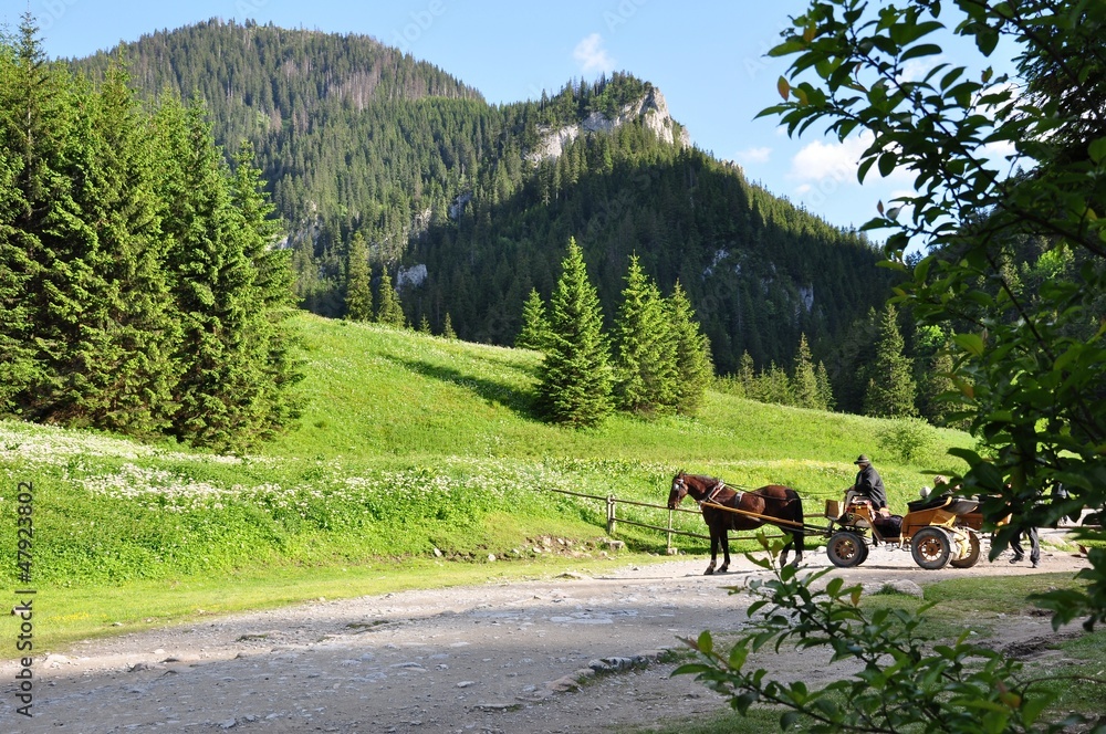 Tatry-Dolina Kościeliska
