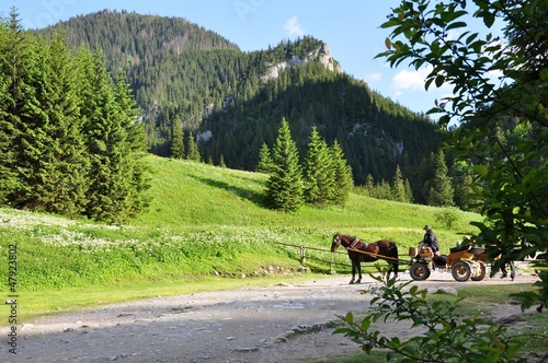 Obraz na płótnie Tatry-Dolina Kościeliska w salonie