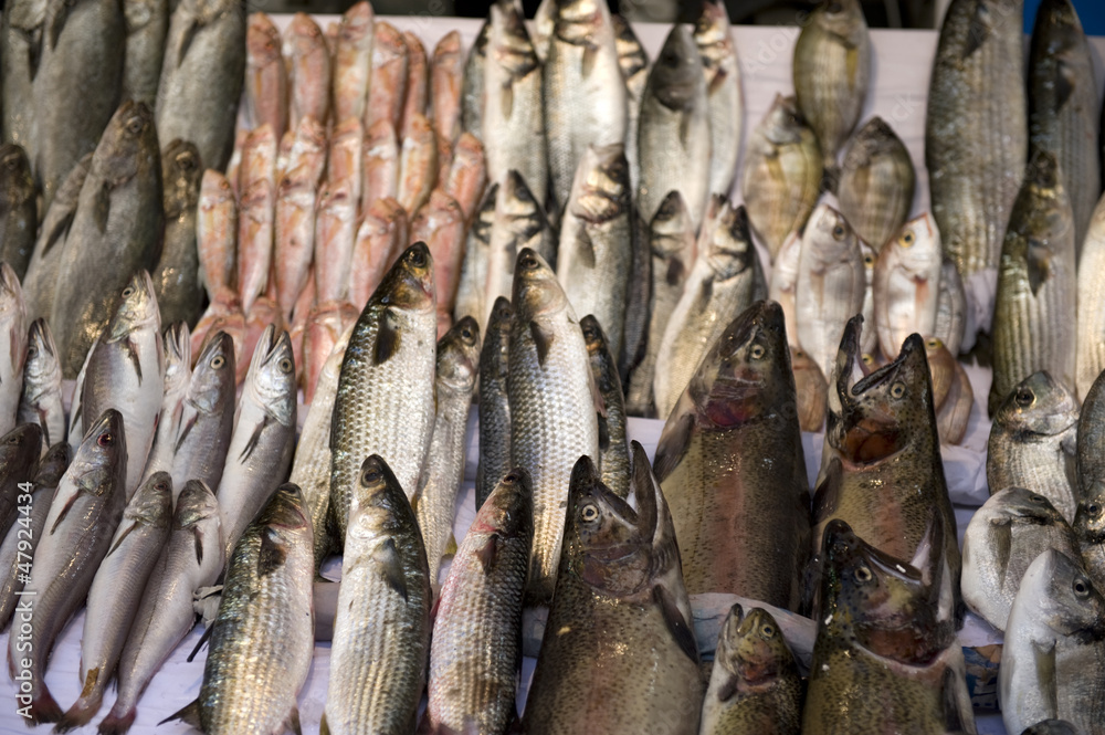 Obraz premium Fish counter