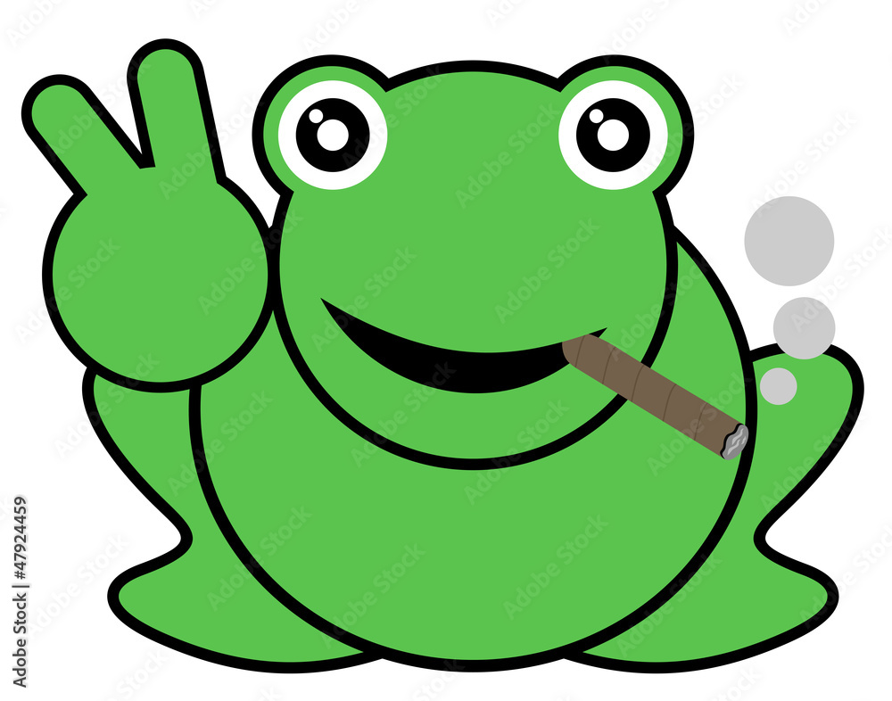 Obraz premium Smoke frog