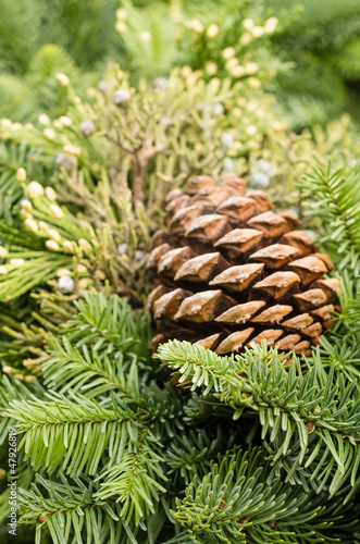 Evergreen decoration with pine cone