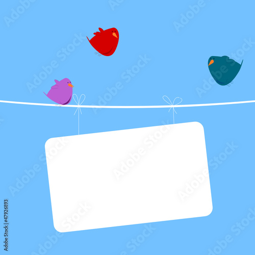 Birds