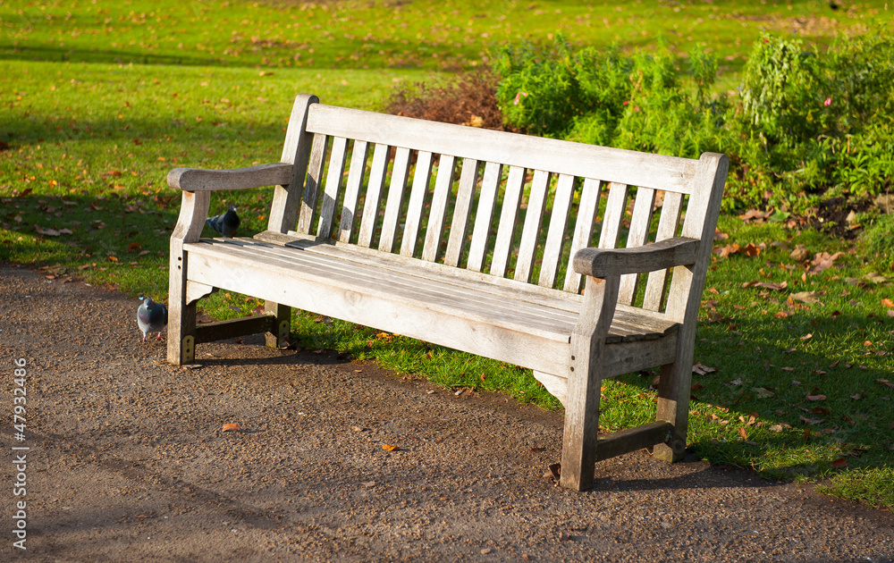 Stylish wooden bench in a park