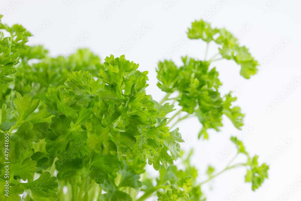 Fresh parsley