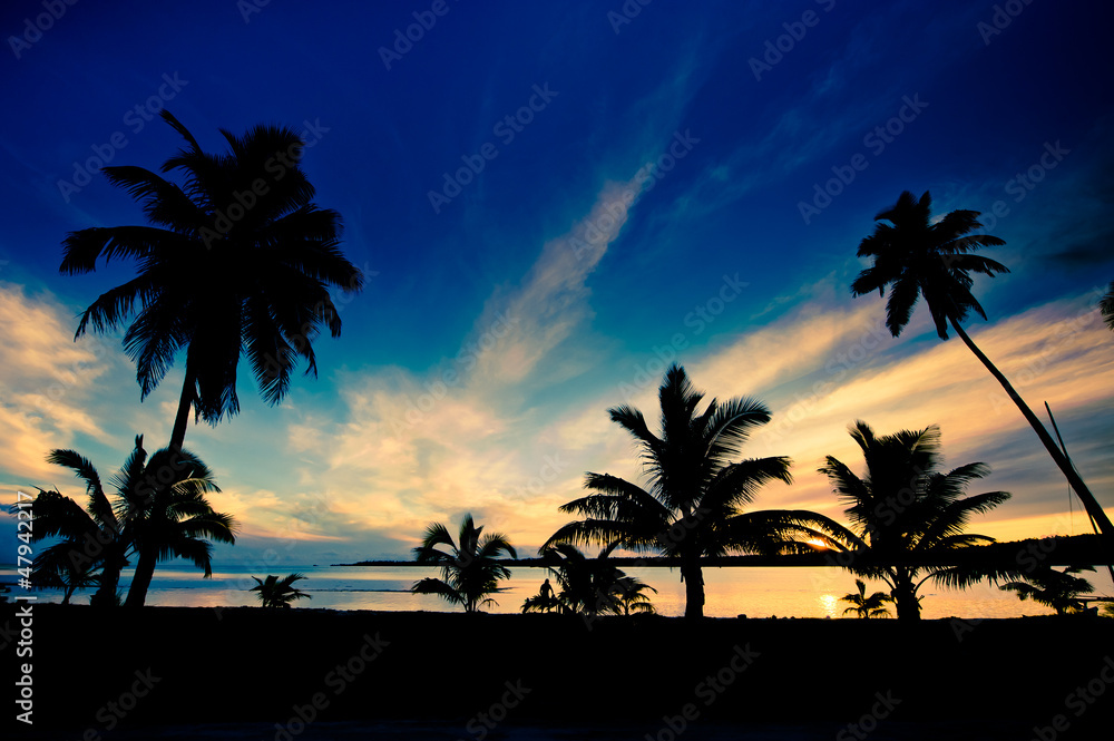 Tropical sunset in the warm summer light