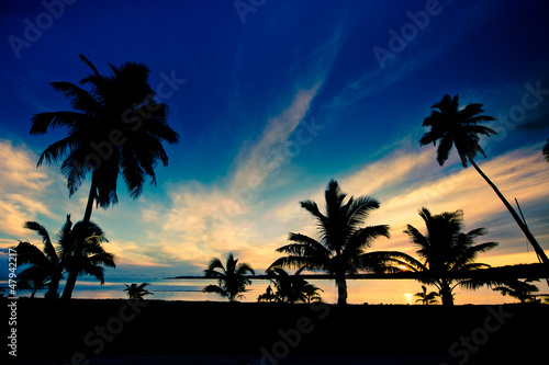 Tropical sunset in the warm summer light