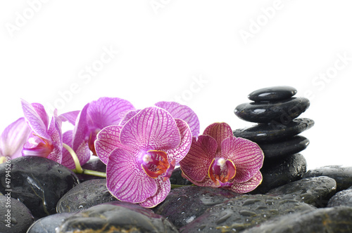 Therapy tower of stones with orchid flower with water drops