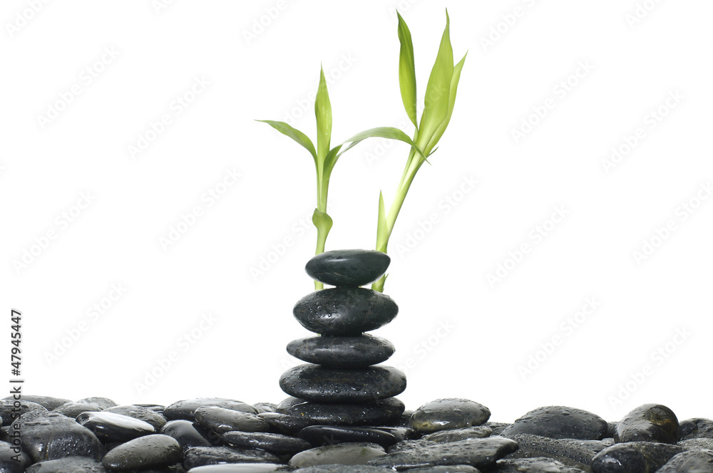 Balanced black zen pebbles and a young green leaf Balanced black zen pebbles and a young green leaf