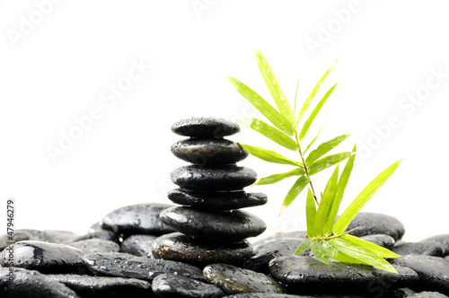 Green shoot on black pebbles in water drops