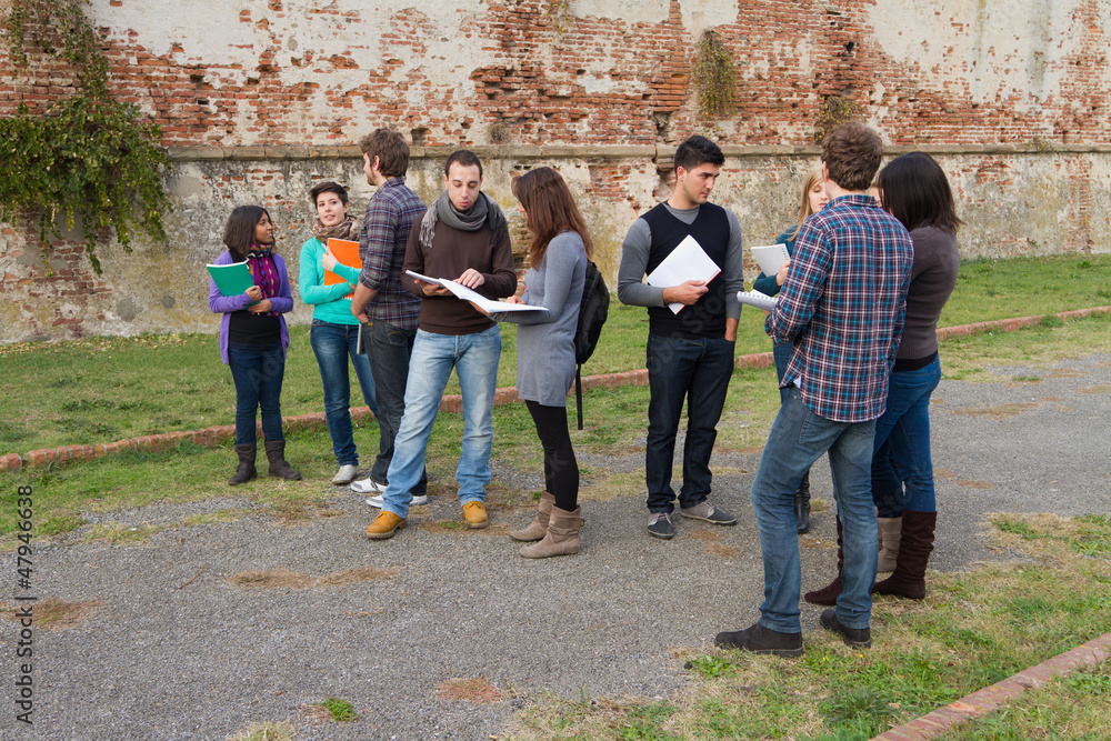 Obraz premium Multiethnic Group of College Students
