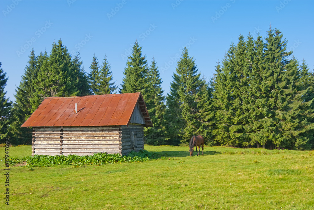 rural scene