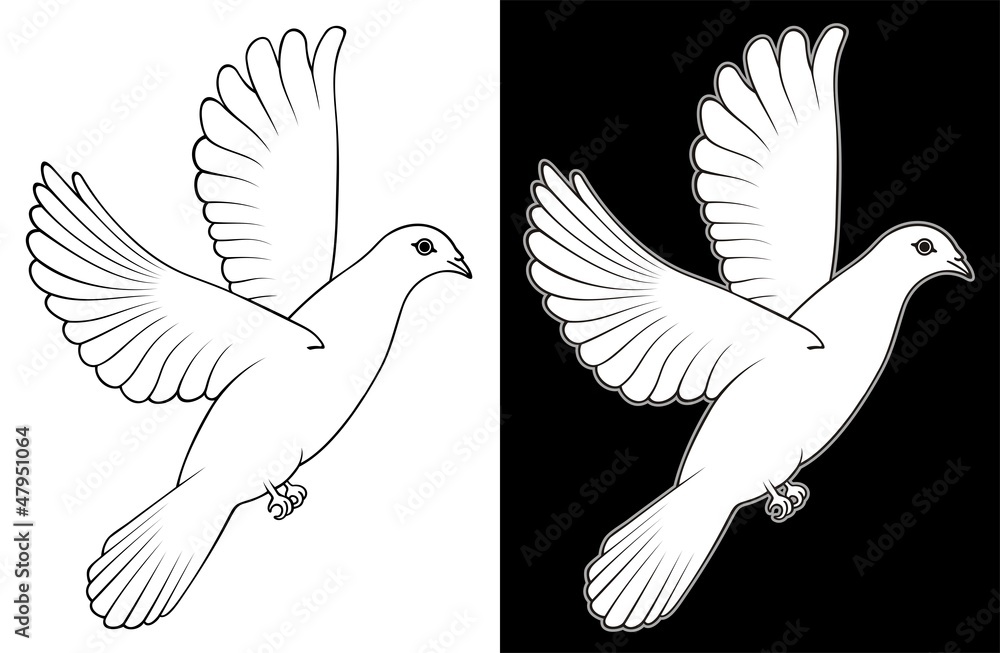 Obraz premium White Dove