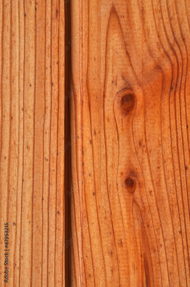texture texture