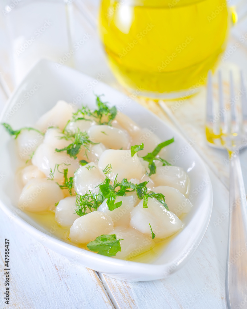 scallop scallop