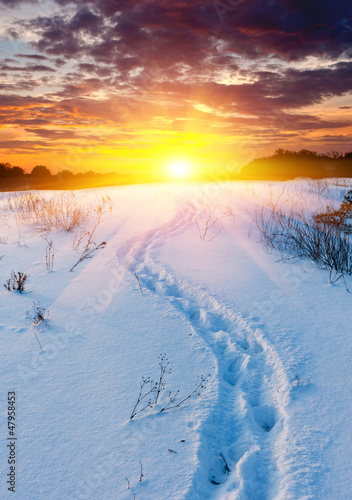 snow-path in steppe on sunset background © Pavlo Klymenko