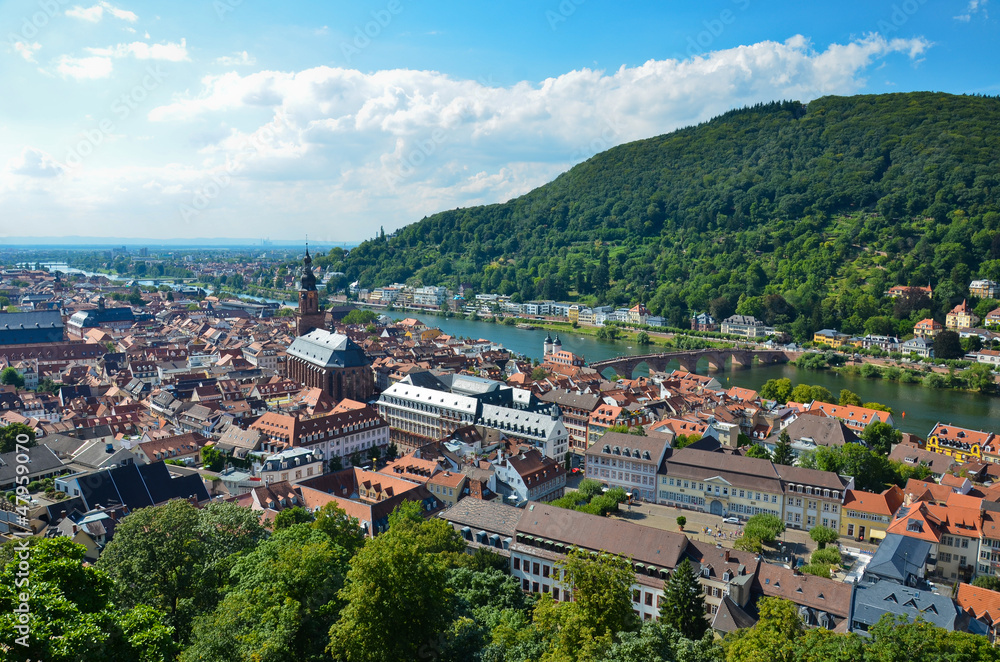 Heidelberg, veduta panoramica 4