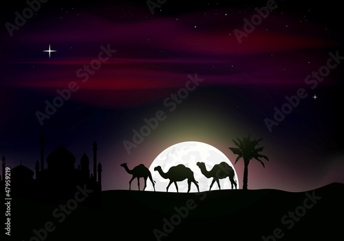 camel trip silhouettes in the night