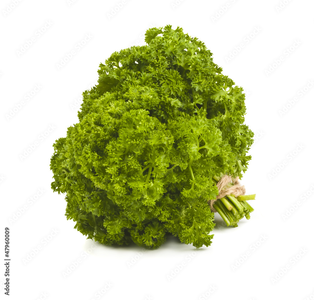 Obraz premium Fresh parsley bouquet on pure white background