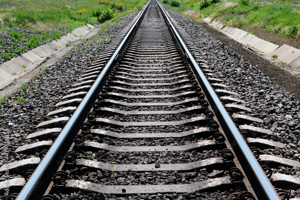 Railroad tracks stretching into the distance Railroad tracks stretching into the distance