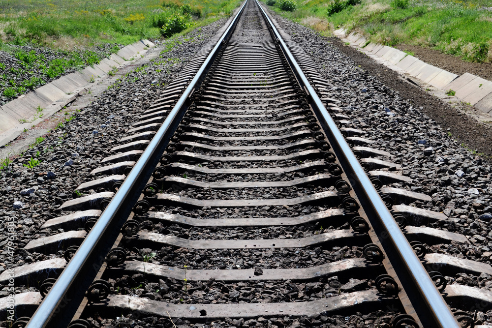 Railroad tracks stretching into the distance