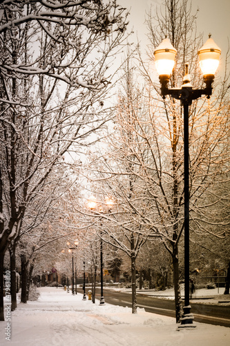 winter street light