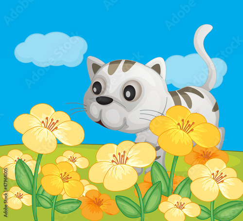 A cat sitting in nature