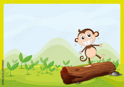 A monkey standing on wood