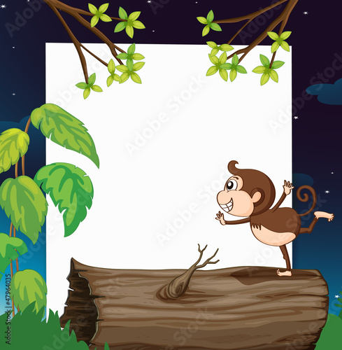 A monkey and white board in nature