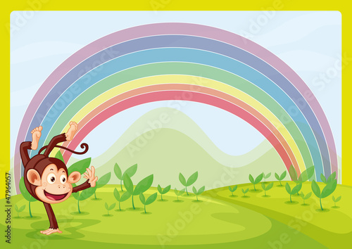 Rainbow and monkey playing in nature