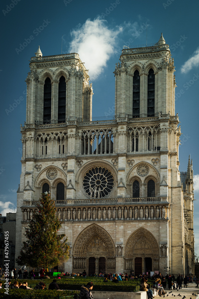 Stunning Notre Dame
