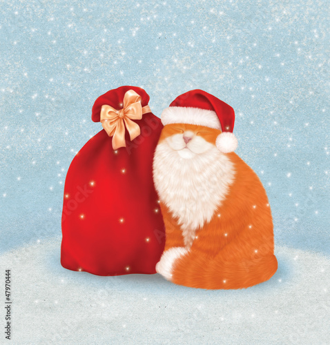 Christmas card with cat