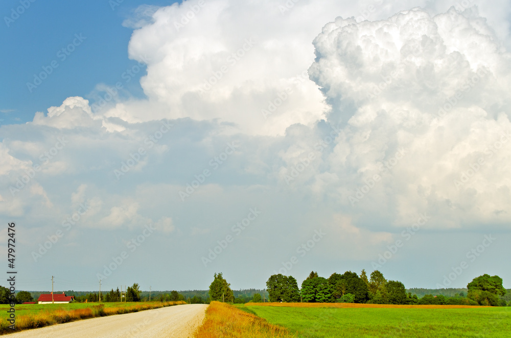 Obraz premium Country landscape.