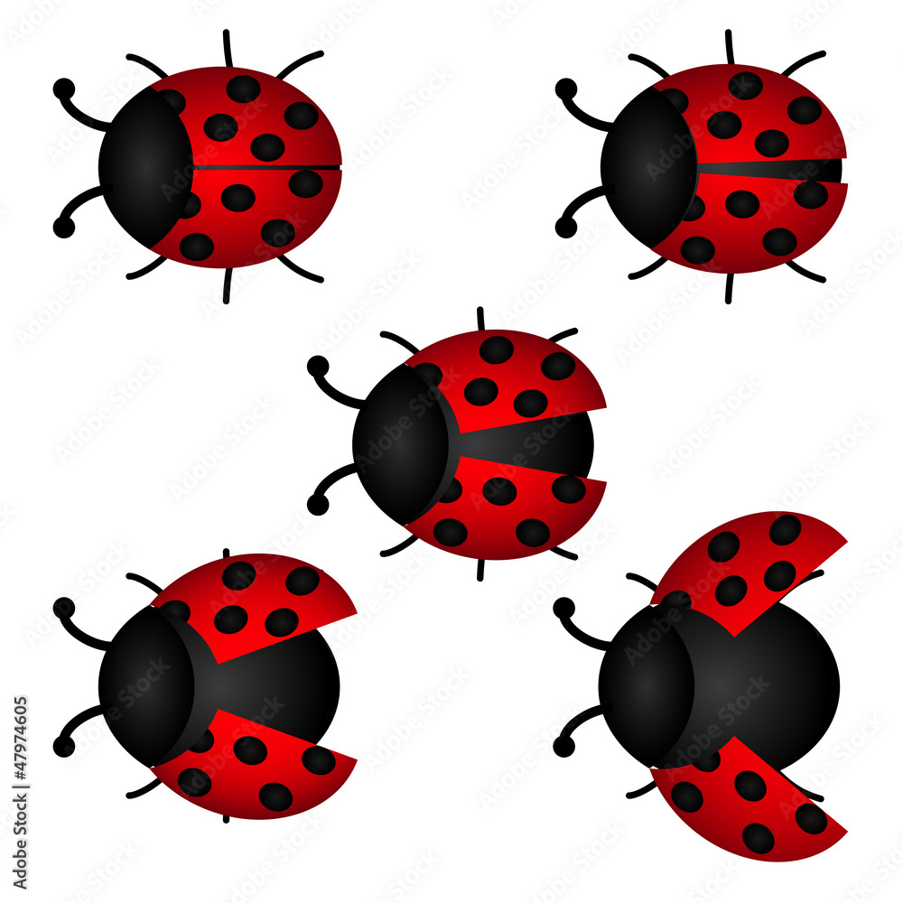set of Ladybird, vector set of Ladybird, vector