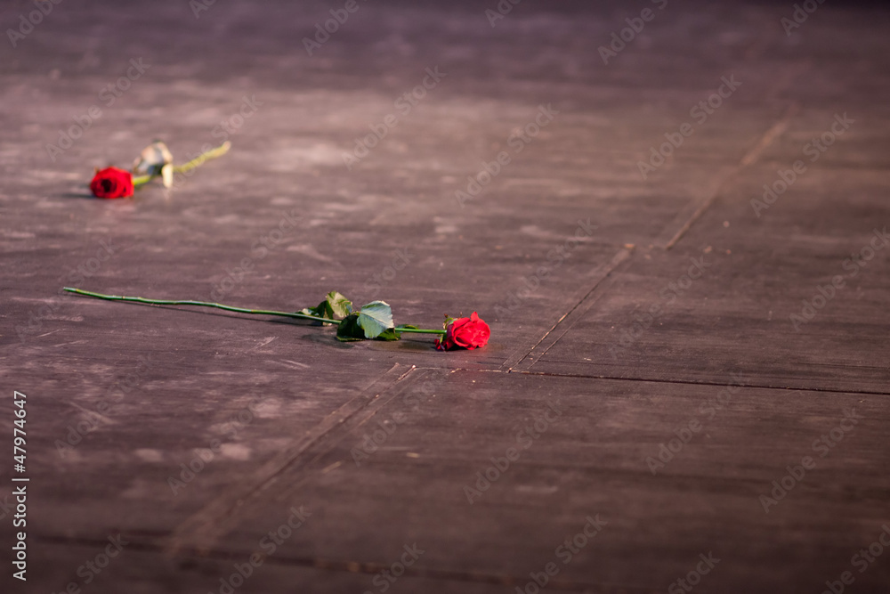 Naklejka premium red roses on wooden floor