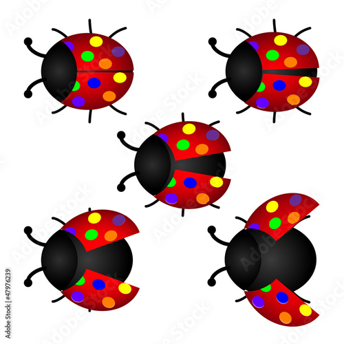 colorful set of Ladybird, vector
