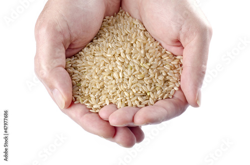 Handful of Brown Rice