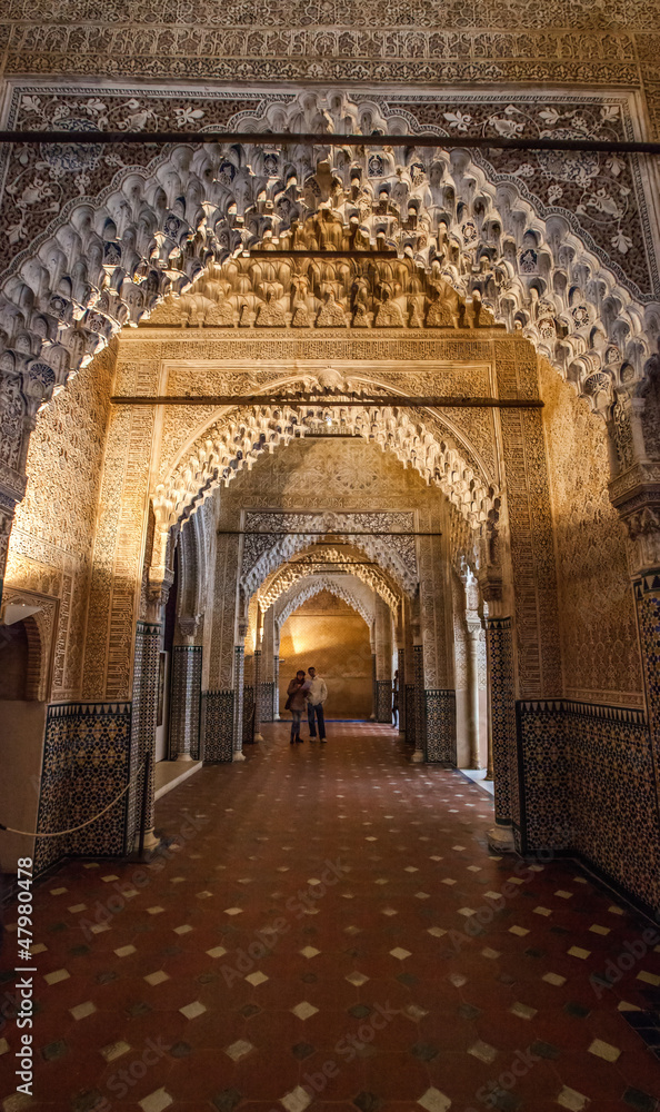Wall Motif, Nasrid Palace, Alhambra, Spain