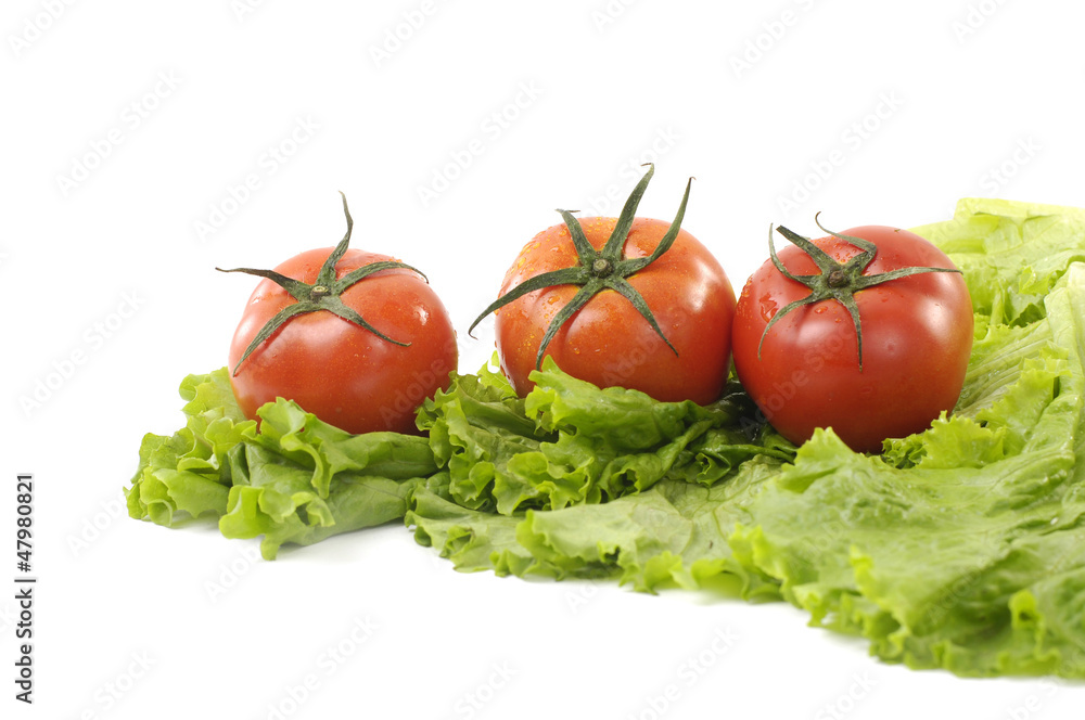 Tomatoes and lettuce on the white background