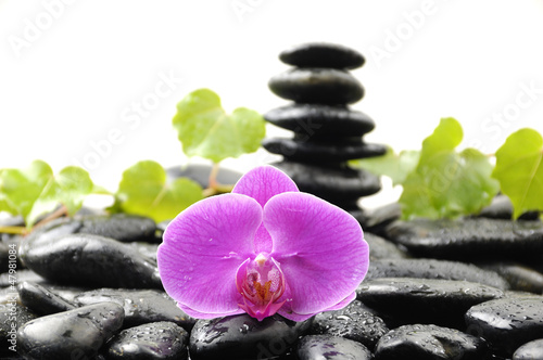 Fototapeta Naklejka Na Ścianę i Meble -  Stack stones in balance with green ivy and orchid on pebble