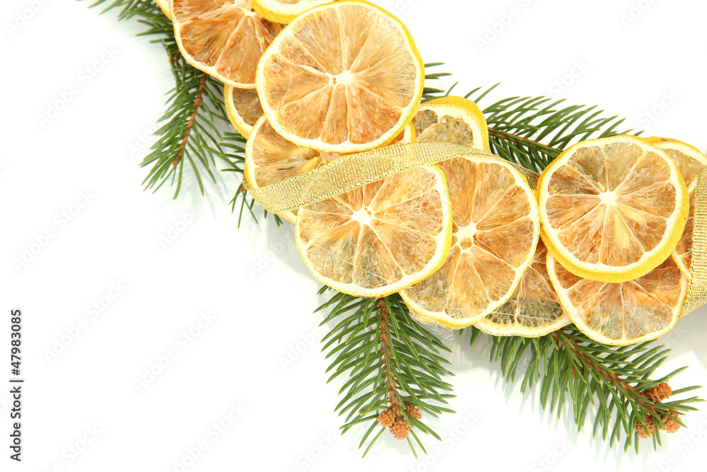 christmas wreath of dried lemons with fir tree isolated on christmas wreath of dried lemons with fir tree isolated on