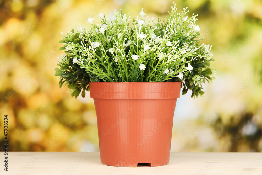 Decorative flowers in flowerpot on bright background