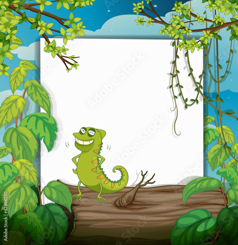 A chameleon and a white board