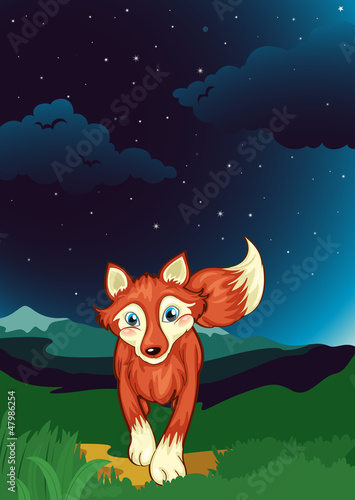 A fox