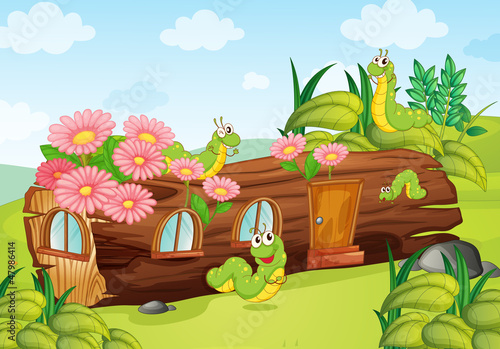 A caterpillar and a wood house