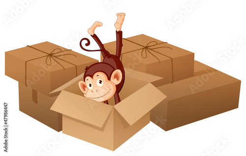 A smiling monkey and boxes