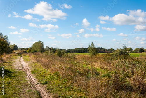 Narrow sand path in a rural landscape