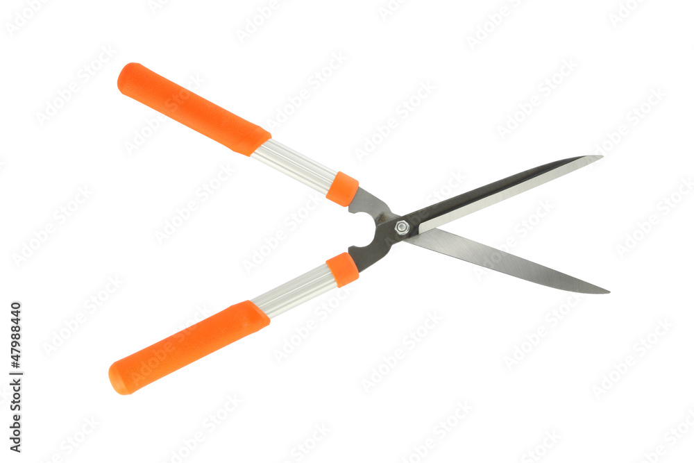 Direct opened grass shear on white background. Direct opened grass shear on white background.