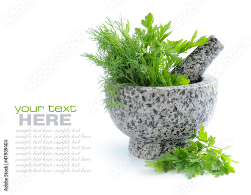 Stone mortar and pestle with greenery of parsley and dill
