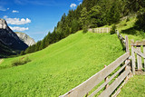 Almwiese mit Zaun in den Alpen